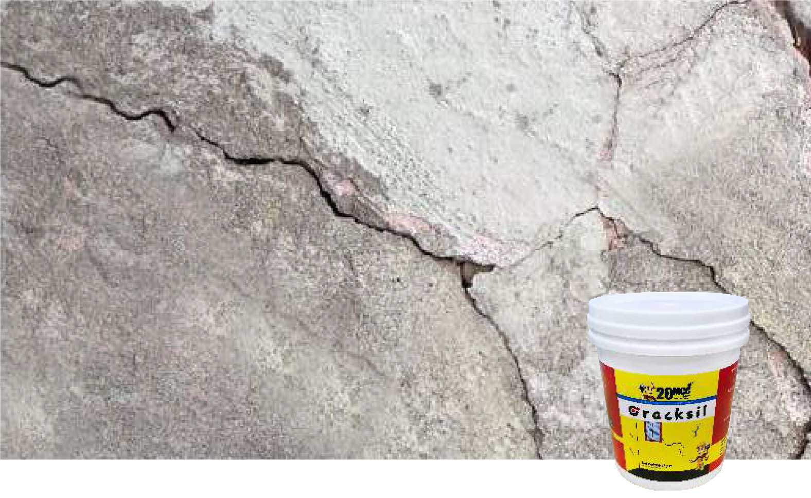 Construction chemical companies